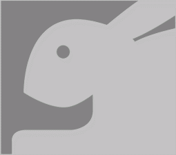 logo The Sleeping logo The Sleeping